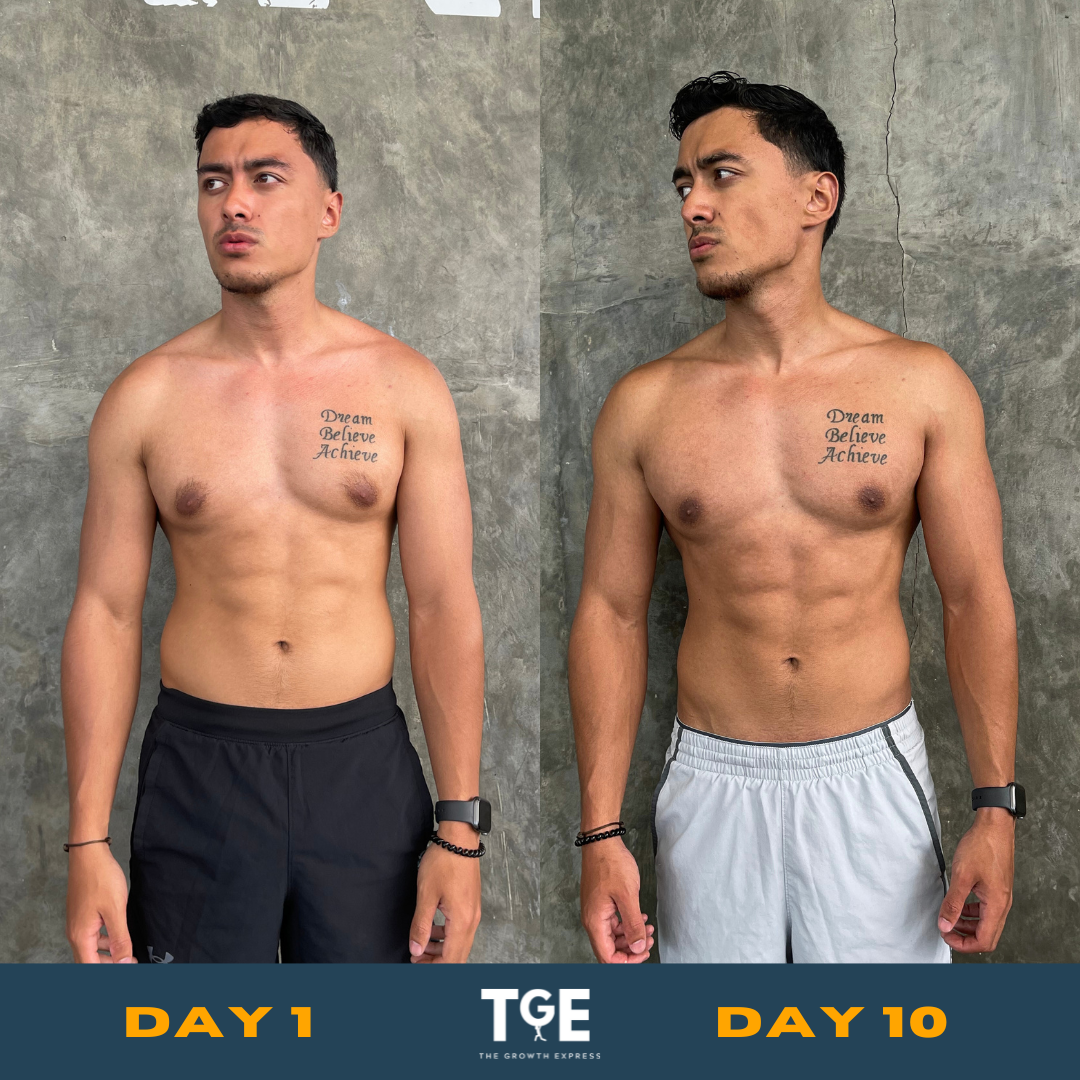 Transformation member Edwin