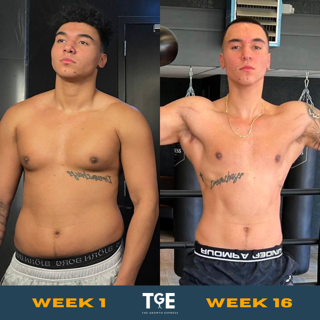 Transformation member Leylan